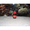 Silicate 3mg/litre 30ml