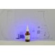 Tridacna/Food 50ml